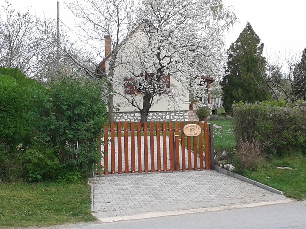Cseresznyevirág Vendégházak Kovagoszolos Chambre photo